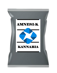 AMNESIA-K